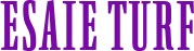 esaieturf