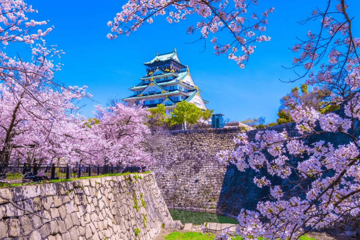 Top  Osaka Travel Attractions Tourists Love